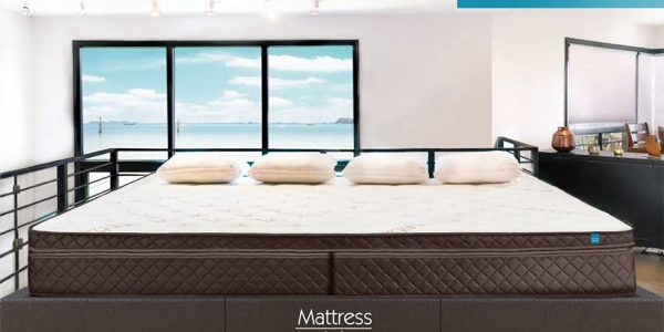 The Family Bed
