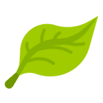 Green leaf icon