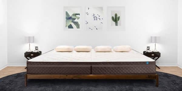 Bed Frame with Mattress