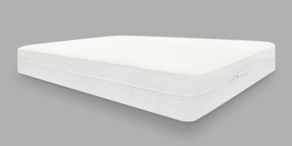 Full mattress encasement protector