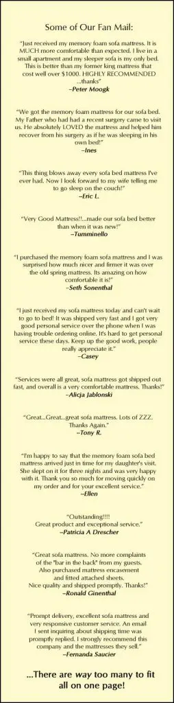Customer testimonials and reviews for sofa bed mattress