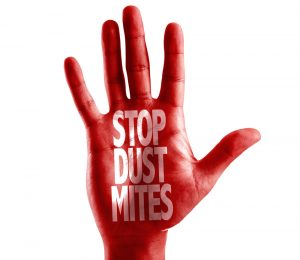 Stop dust mites red hand warning sign for mattress allergy guide