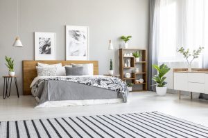 Bedroom plants that help you sleep