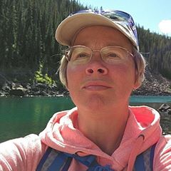 Shari Voigt RV blogger headshot