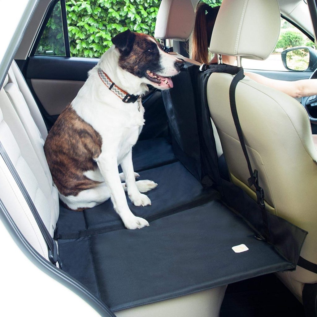 Dog in car seat travel safety