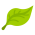 Green eco-friendly leaf icon